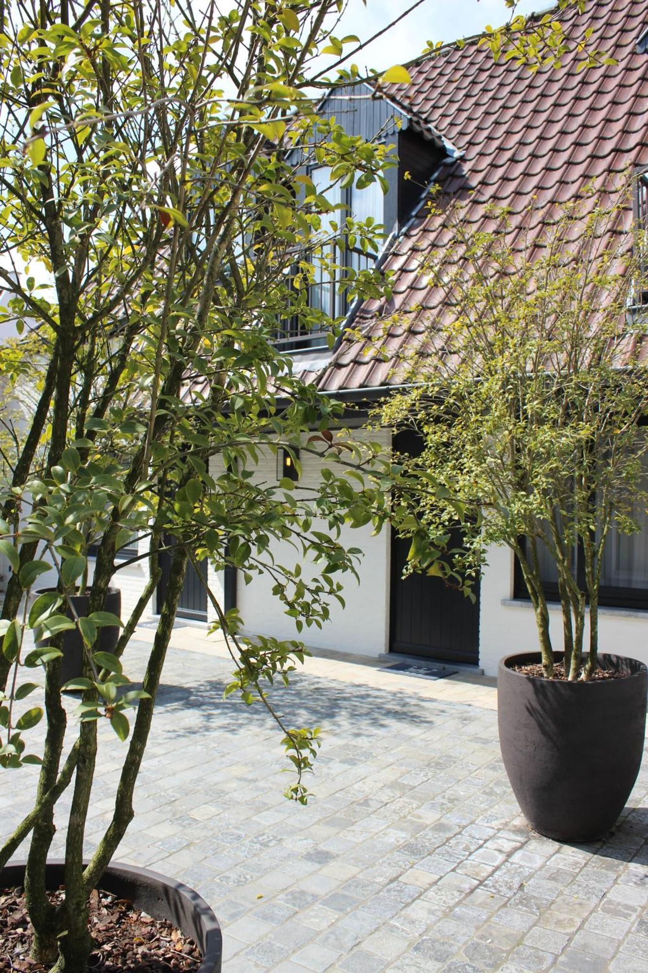 Dukes' Palace Residence - By Dukes' Hotel Collection Bruges Exterior photo